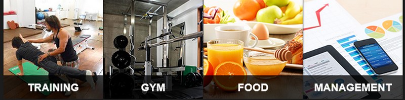 �j���������T�C�g